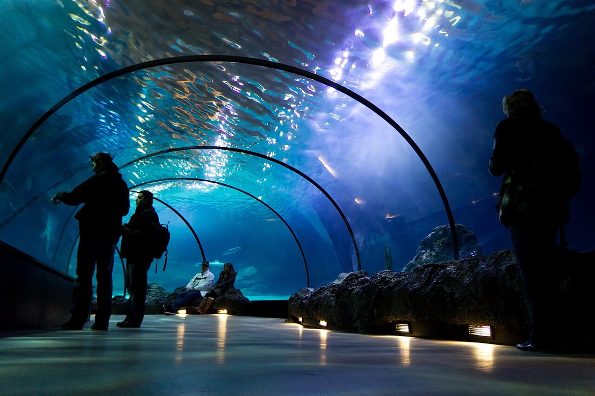 Океанариум Phuket Aquarium