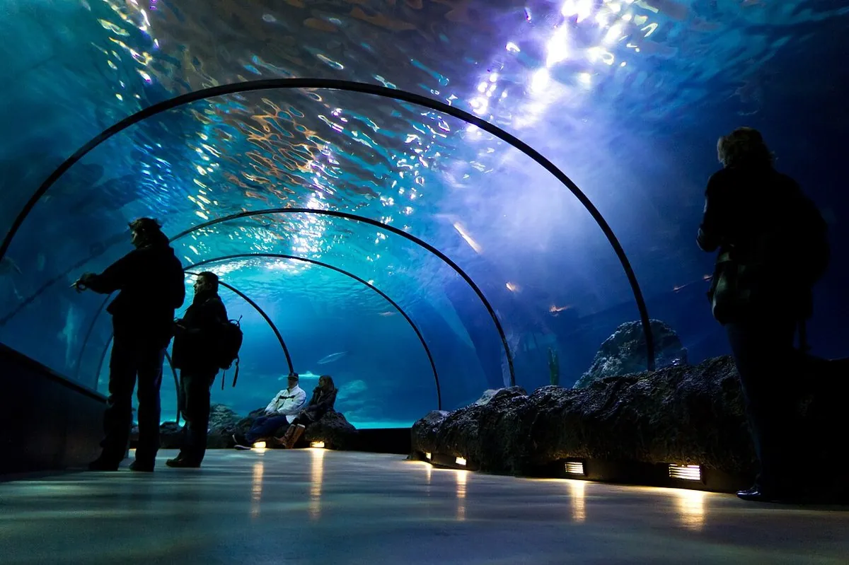 Океанариум Phuket Aquarium — фото 2