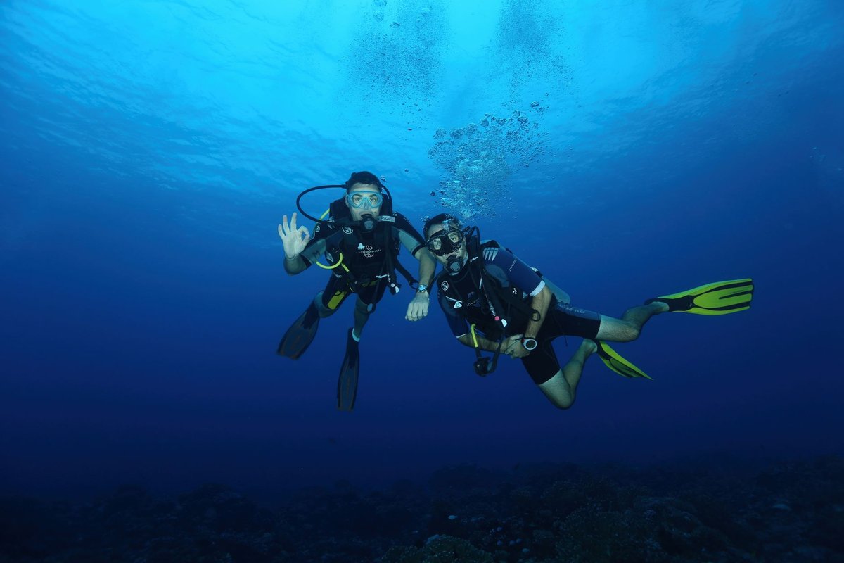 Дайвинг Try Dive у рифа